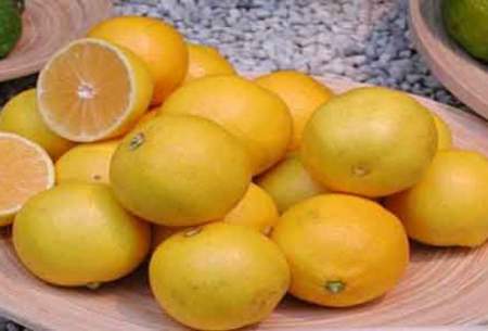 این روزها از لیمو شیرین غافل نشوید