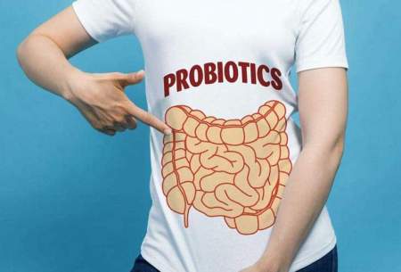 جایگزین سالم تر پروبیوتیک معرفی شد