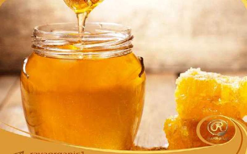 خرید عسل طبیعی کوهستان نجم مرغوب و قابل اطمینان
