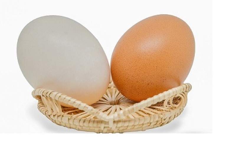 تخم مرغ را بلافاصله بعد از خرید نشویید