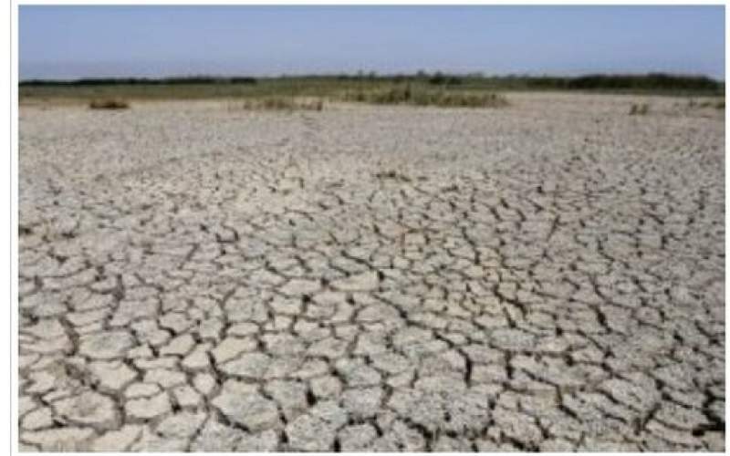 خشکسالی در ۸۳.۵ درصد مساحت آذربایجان‌غربی