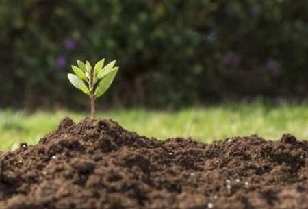 فرسایش سالانه ۱۶ هزار تن خاک در کشور