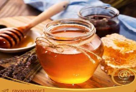 خرید عسل گون نجم خالص و درمانی در مشهد