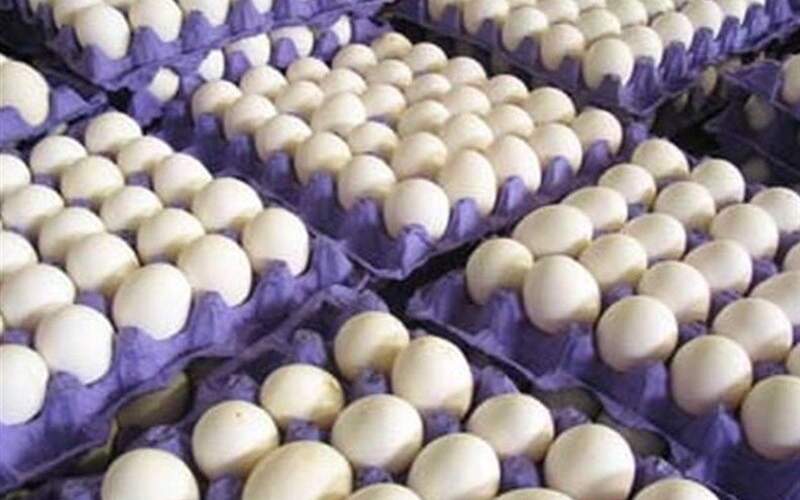 جدیدترین قیمت تخم مرغ در میادین و بازار