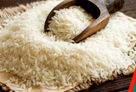برنج ارزان شد، اما به سفره مردم نرسید