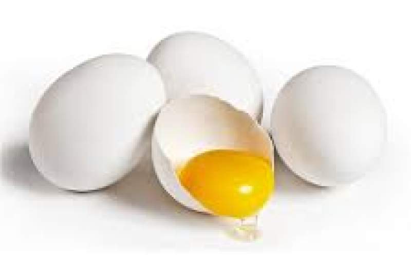 آنچه باید از نحوه مصرف تخم مرغ بدانیم