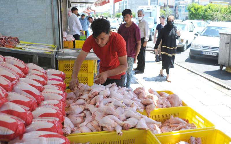 تصمیمات جدیدی برای خرید مرغ در راه است