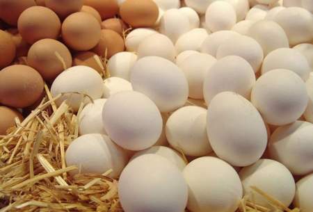 پشت پرده گرانی قیمت تخم‌مرغ در بازار