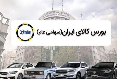 عرضه بیش از ۱۷۰ دستگاه لاماری در بورس کالا