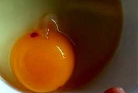 وجود لکه‌های خون در تخم‌ مرغ نشانه چیست؟