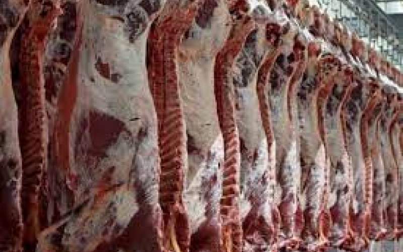 مافیای گوشت به دنبال توقف صادرات است