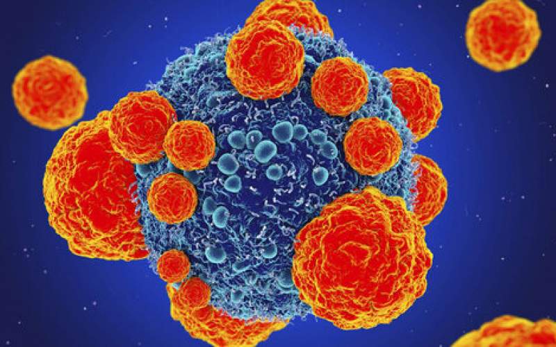 تبدیل سلول‌های سرطانی به سلول‌های کم‌ضرر