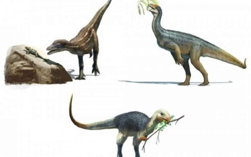غذای مورد علاقه دایناسورها پیدا شد