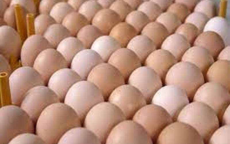 صادرات ۲۷ هزارتن تخم‌مرغ در ۹ماهه ۱۴۰۱