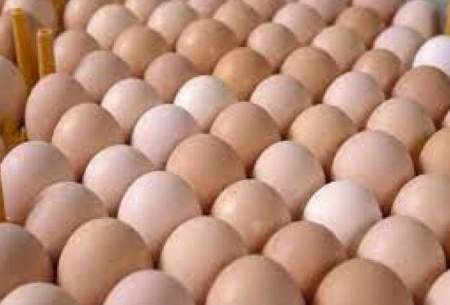 صادرات ۲۷ هزارتن تخم‌مرغ در ۹ماهه ۱۴۰۱