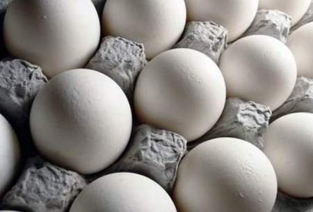 جدیدترین قیمت تخم‌مرغ؛قیمت‌ها کاهشی شد