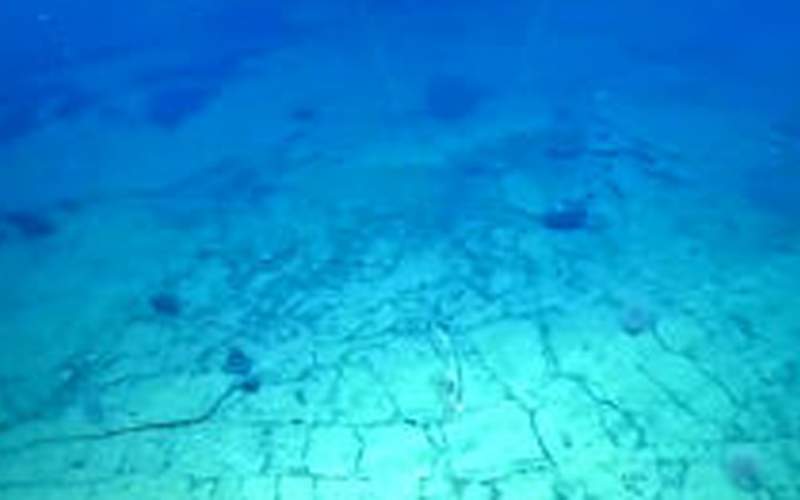 کشف باورنکردنی در اعماق اقیانوس آرام
