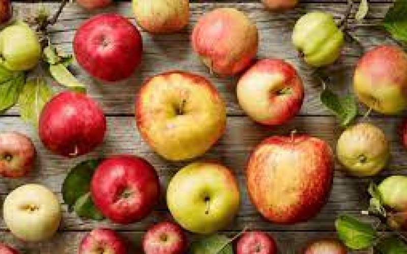 با معجزه سیب در سلامتی آشنا شوید
