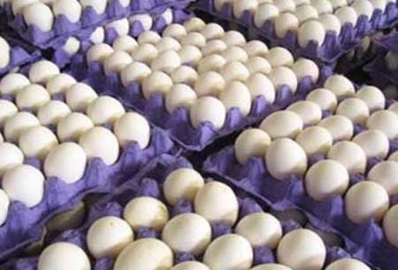 قیمت هر شانه تخم مرغ در بازار امروز