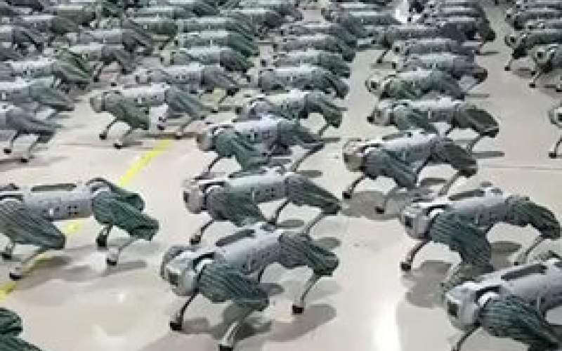 ویدئویی از پیشرفت سگ‌های رباتیکِ چین