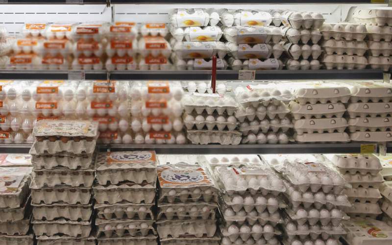 قیمت شانه ۳۰تایی تخم‌مرغ  در بازار/جدول
