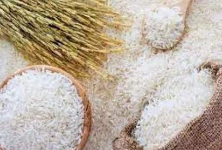 تشریح دلیل ممنوعیت واردات برنج هندی