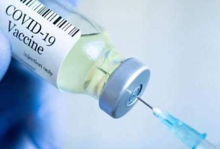 سه دزی‌ها هم باید واکسن کرونا بزنند؟