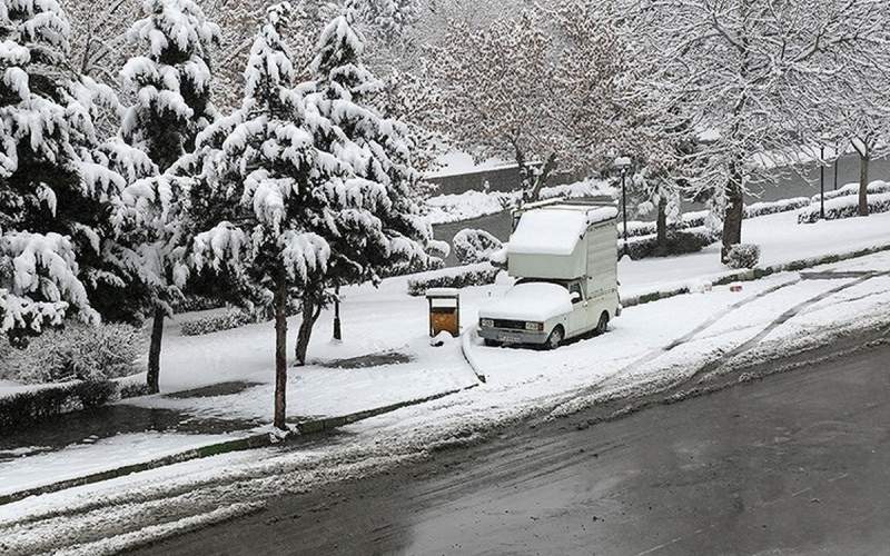 تصاویری از بارش سنگین برف در همدان/فیلم