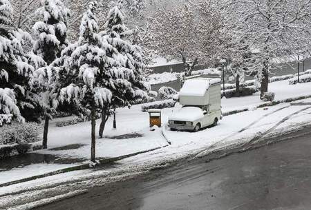 تصاویری از بارش سنگین برف در همدان/فیلم