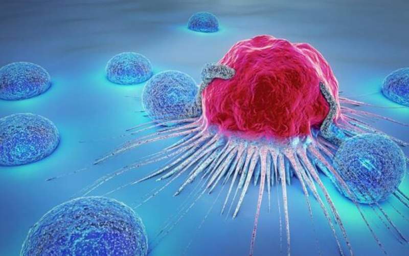 کشف درمانی جدید برای سرطان کبد در این سنین