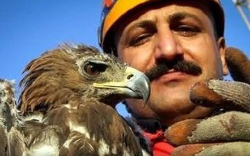رها سازی دو گونه عقاب از دست شکارچیان