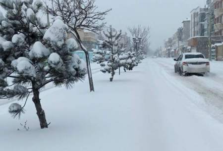 اتفاق نادر درسیستان و بلوچستان پس از ۱۹سال