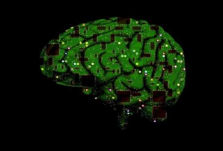 بررسی نواحی خاص مغز با کمک هوش مصنوعی