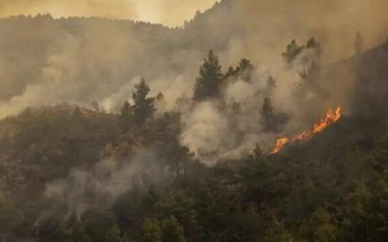 آتش سوزی های جنگلی در شیلی ۱۳ قربانی گرفت