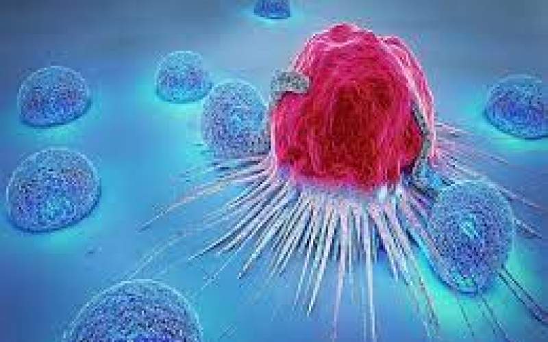 اعلام شایع‌ترین سرطان‌ها در بین زنان و مردان