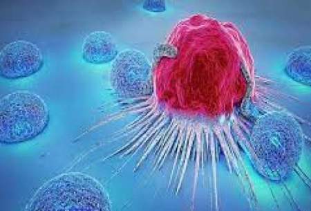 اعلام شایع‌ترین سرطان‌ها در بین زنان و مردان