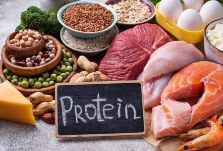 پروتئین برای بدن چه فوایدی دارد؟