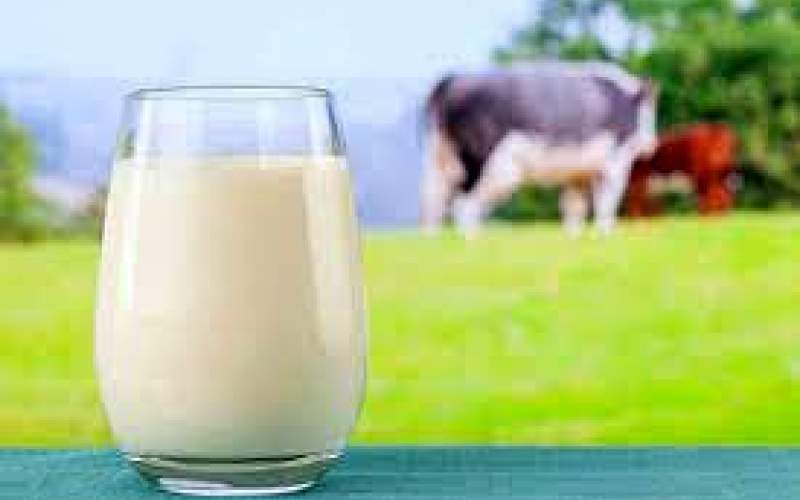 آنچه نباید همزمان با شیر بخوریم