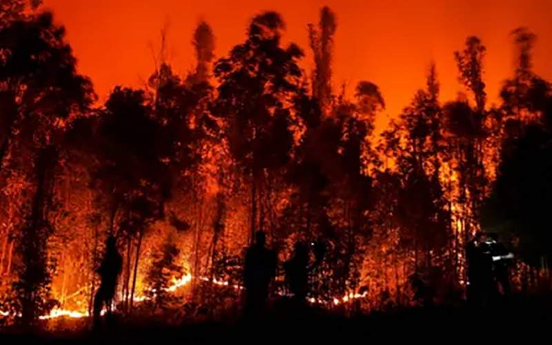 آتش سوزی گسترده در شیلی /فیلم