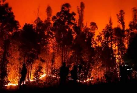 آتش سوزی گسترده در شیلی /فیلم