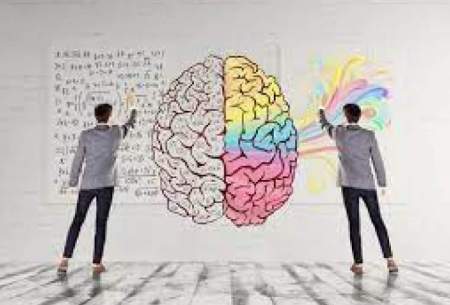 آیا راست مغزی و چپ مغزی حقیقت دارد؟