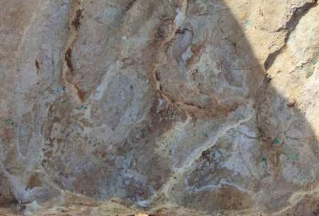 تصویر‌ردپای۱۴۰میلیون‌سالۀ دایناسور‌دریک‌صومعه