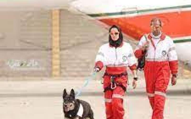 ماموریت سگ‌های زنده‌یاب ایرانی در زلزله ترکیه