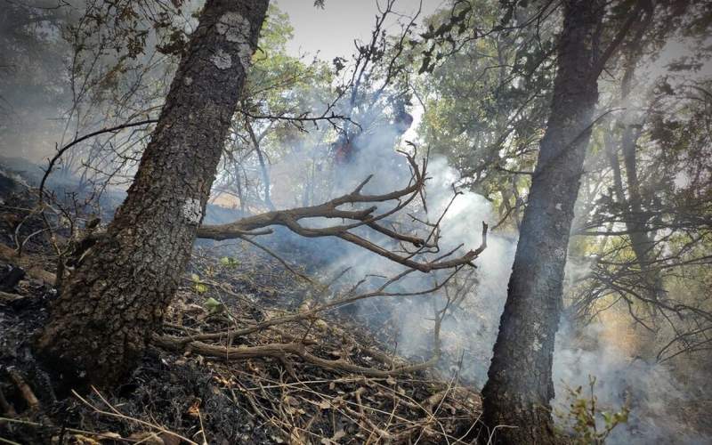 هشدار درباره احتمال آتش سوزی جنگل‌ها