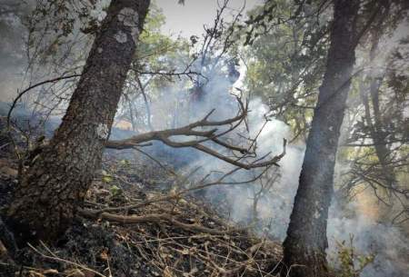 هشدار درباره احتمال آتش سوزی جنگل‌ها