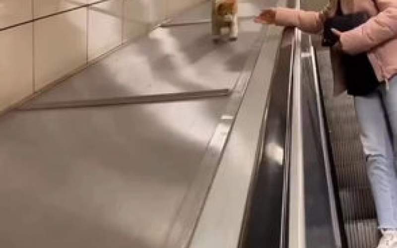 سرسره‌بازی یک گربه بازیگوش در مترو استانبول