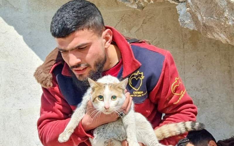 تلاش برای نجات حیوانات خانگی در زلزله ترکیه