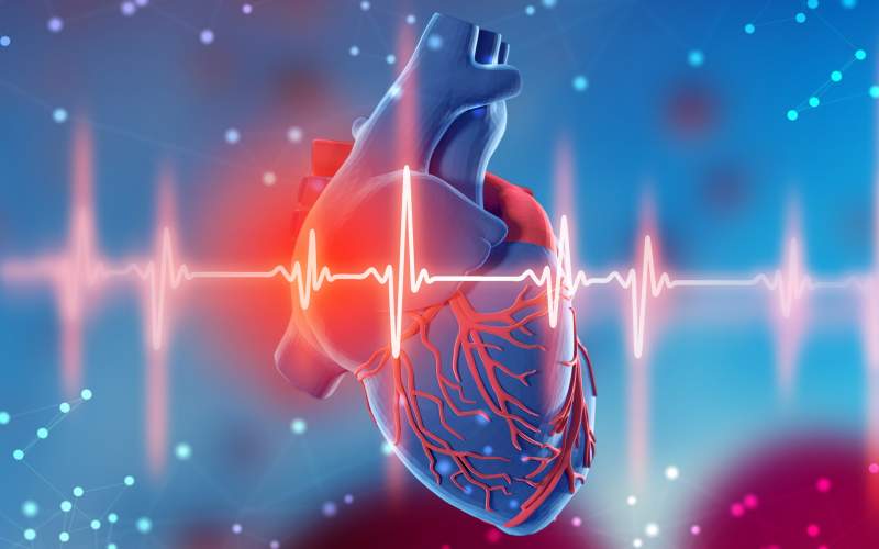 چه افرادی در معرض خطر بیماری قلبی هستند؟