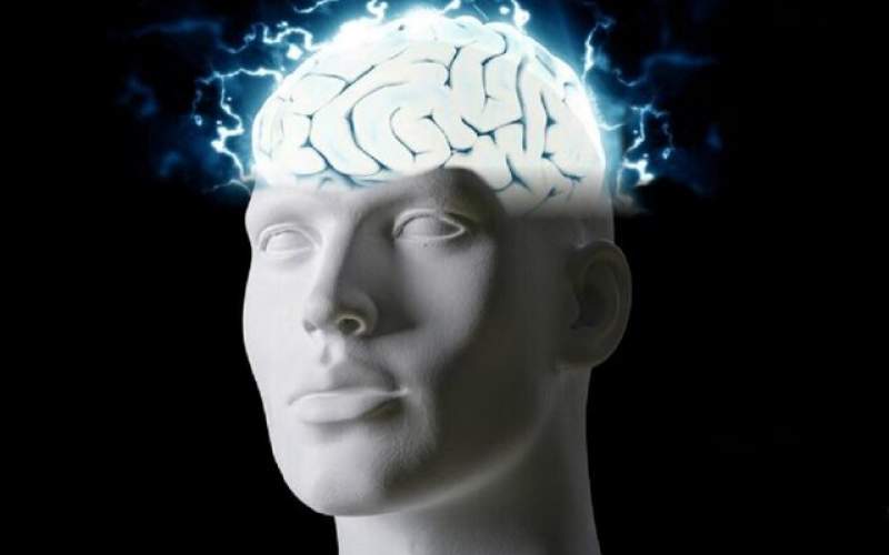 تاثیر عجیب دمای مغز بر فعالیت عصبی