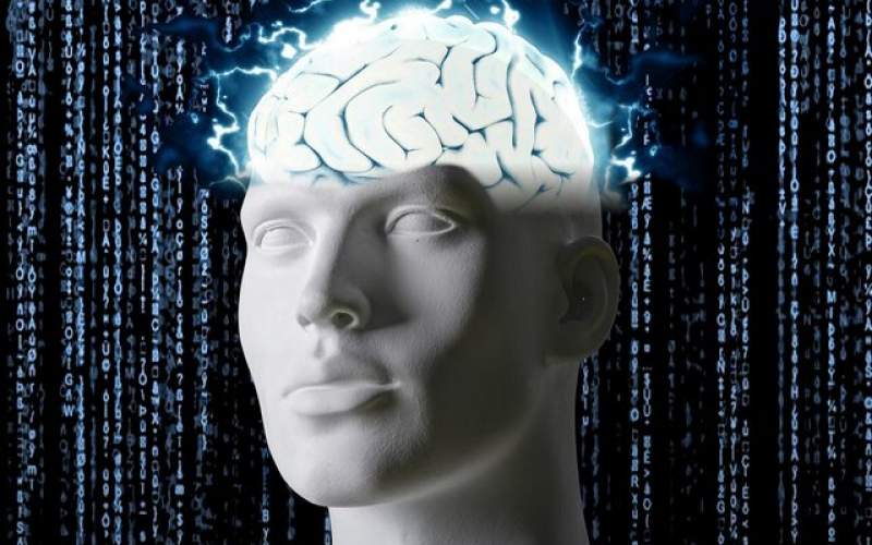 کدام آجیل توانایی مغزی را ارتقا می‌دهد؟